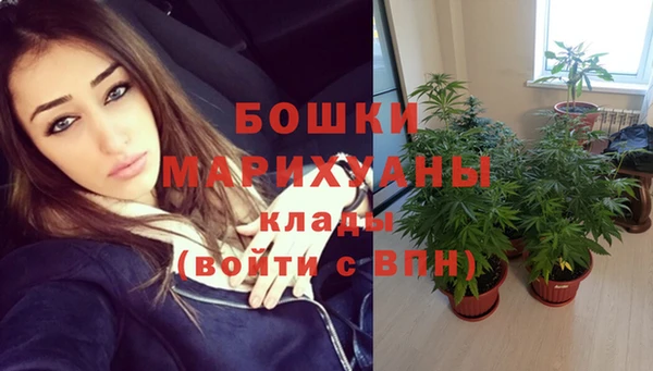 молекула духа Касимов